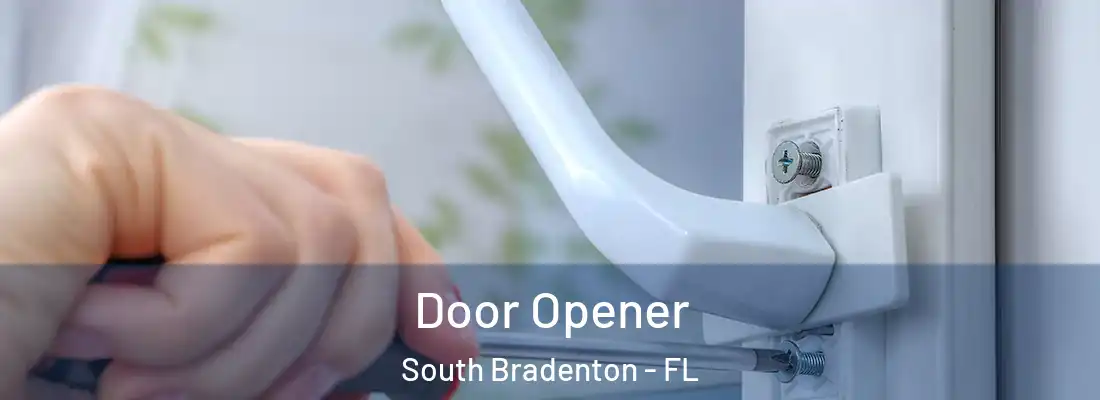  Door Opener South Bradenton - FL