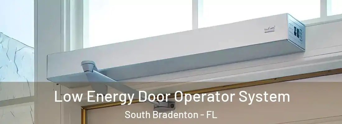  Low Energy Door Operator System South Bradenton - FL