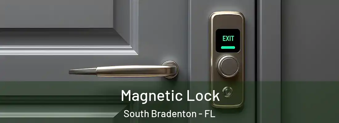  Magnetic Lock South Bradenton - FL